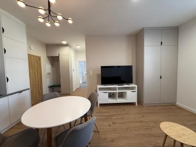 kowary apartament kamienica 62