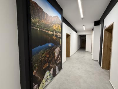 kowary apartament kamienica 62